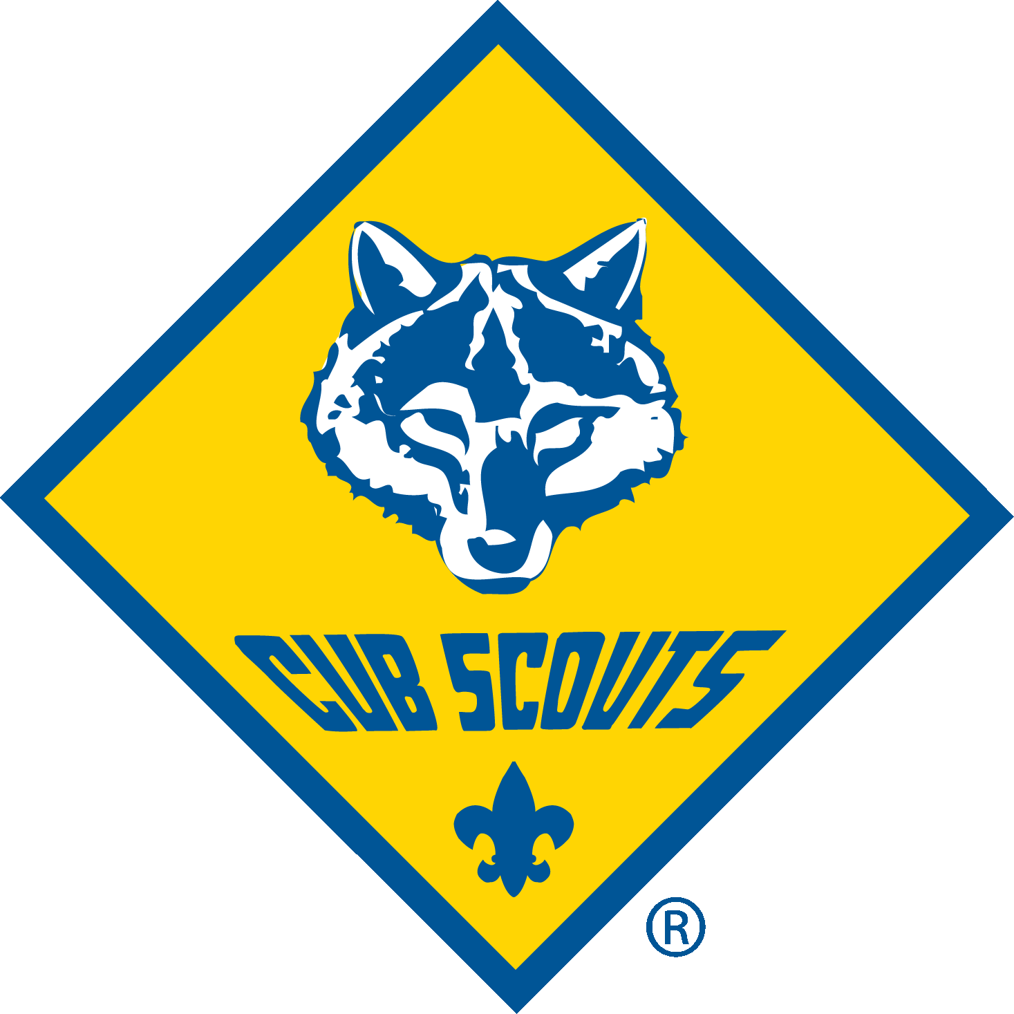 PACK 291